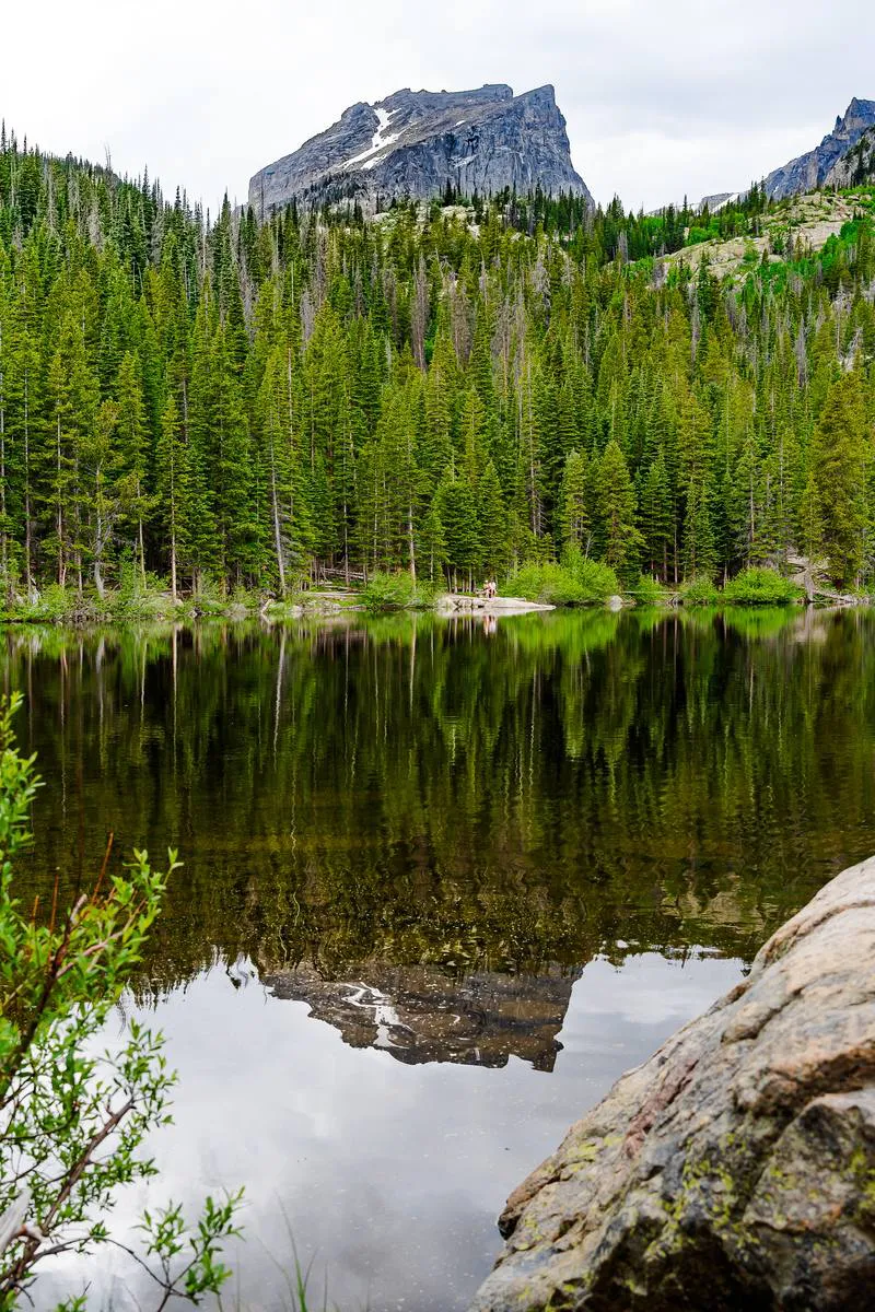 Mountain lake reflecting an evergreen forest - landscape photograph